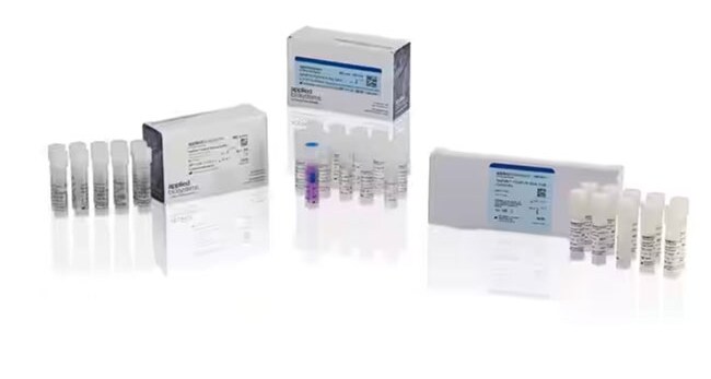 TaqPath COVID-19, Flu A, Flu B Combo Kit TaqPath COVID-19, Flu A, Flu B Combo Kit