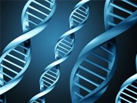 showcase.par.89858.image.200.150.1.copy-number showcase.par.89858.image.200.150.1.copy-number