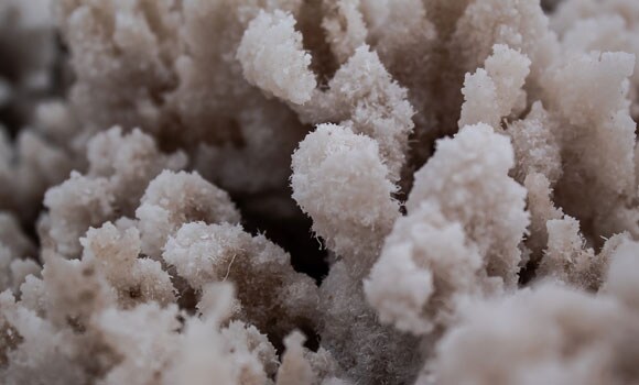 Research and development Research and development