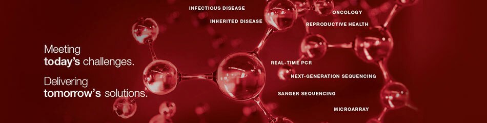 amp-workshop-image-1 amp-workshop-image-1