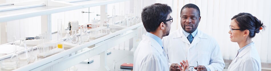 digital-transformation-insights-banner-950x250 digital-transformation-insights-banner-950x250