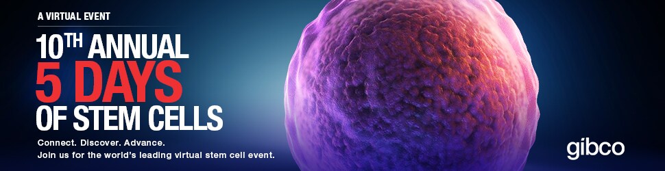 PG2627-PJT9215-COL019646-5DoSC-2022-Banner-Image-Global-F PG2627-PJT9215-COL019646-5DoSC-2022-Banner-Image-Global-F