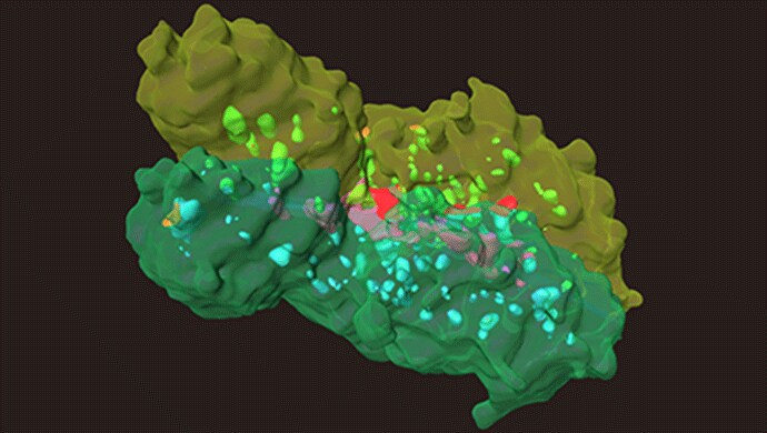 london-center-nanotechnology2 london-center-nanotechnology2