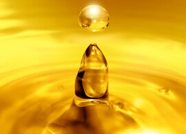 AutoXP Gas and Liquid Flow Computer AutoXP Gas and Liquid Flow Computer