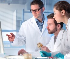 Spectroscopy & Rheology Services Spectroscopy & Rheology Services