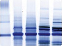 cancer-stem-cell-research.par.41356.image.protein-jpg cancer-stem-cell-research.par.41356.image.protein-jpg