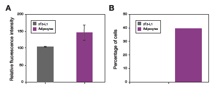 Quantitative analysis of adiposome formation in mouse fibroblasts Quantitative analysis of adiposome formation in mouse fibroblasts