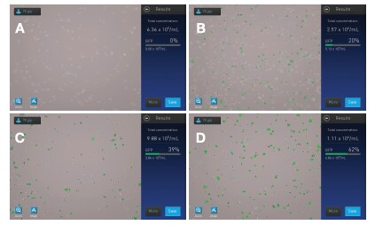 Analysis of adipogenesis in fixed cells Analysis of adipogenesis in fixed cells