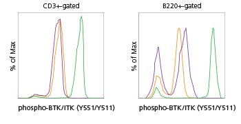 Mouse splenocytes chart Mouse splenocytes chart