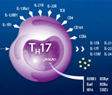 eBioscience Resources eBioscience Resources