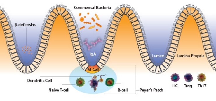 Microbiota Overview Microbiota Overview