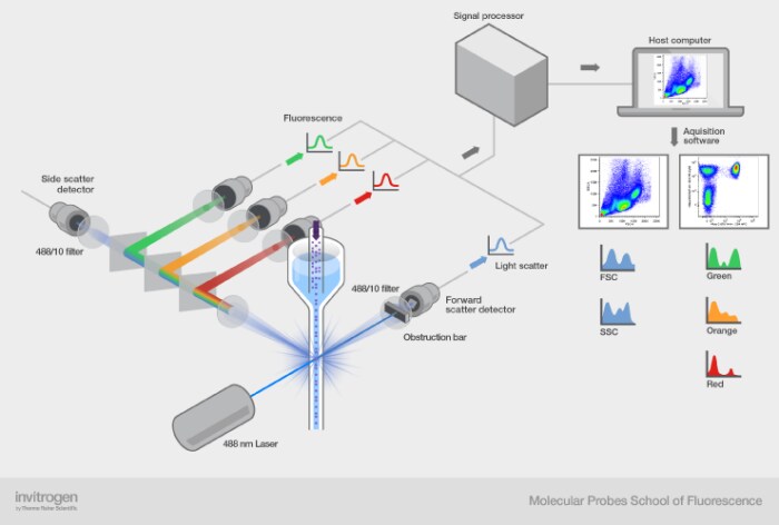 The working parts of the flow cytometer The working parts of the flow cytometer