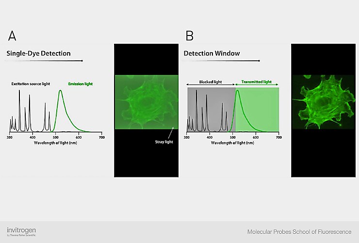 Use of simple longpass emission filter for single dye detection Use of simple longpass emission filter for single dye detection