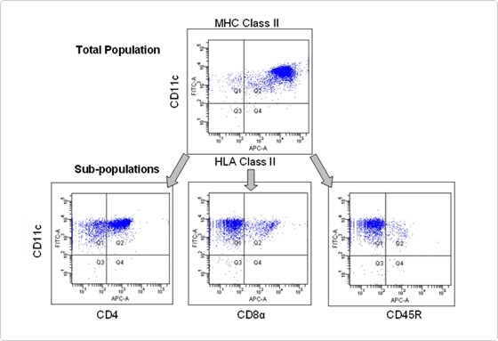 Typical result after flow sorting Results after flow sorting: Lin-CD11c+ sorted cells stained with markers for CD4+, CD8a+, and CD45R+ dendritic mouse cell sub-populations