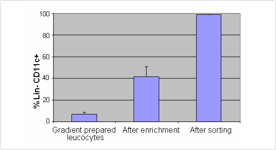 Typical result after flow sorting Mouse Dendritic Cell enrichment process and after the final sorting process with Dynabeads