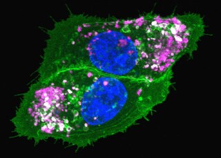 probesonline-nov-2012.par.12852.image.dat-imaging-corner-sm-jpg.dat-imaging-corner-sm-jpg probesonline-nov-2012.par.12852.image.dat-imaging-corner-sm-jpg.dat-imaging-corner-sm-jpg