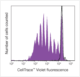 Proliferation by flow cytometry Histogram of proliferating cells