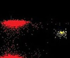 Qdot®-Nanocrystals Qdot®-Nanocrystals