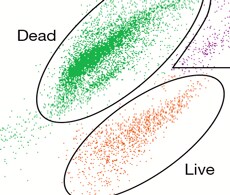 Bacteria Counting and Enumeration Assays for Flow Cytometry Bacteria Counting and Enumeration Assays for Flow Cytometry
