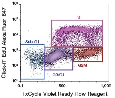 FxCycle Violet Ready Flow Reagent FxCycle Violet Ready Flow Reagent
