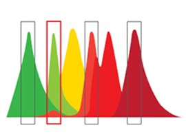 Controls, Compensation and Calibration Information schematic of multiple fluorescence spectra showing emission overlap