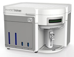 No-Wash, No-Lyse Detection of Phagocytic Cells Via a pHrodo BioParticles Functional Assay in Human Whole Blood on the Attune NxTFlow Cytometer No-Wash, No-Lyse Detection of Phagocytic Cells Via a pHrodo BioParticles Functional Assay in Human Whole Blood on the Attune NxTFlow Cytometer