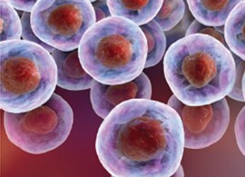 Immunophenotyping examples 3D image of cells in suspension
