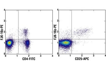Overview dot plot of flow cytometry data showing foxp3 positive cell populations compared to CD4 and CD25 populations