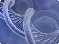 showcase.par.95357.image.0.0.1 showcase.par.95357.image.0.0.1