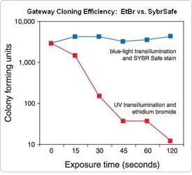 Improved Gateway cloning efficiency Line chart illustrates higher cloning efficiency SYBR Safe when compared to EtBr in a graph showing CFUs vs exposure time