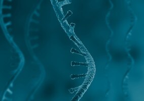 RNA electrophoresis RNA strands on a blue background