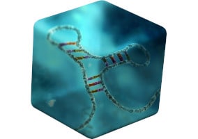 RNA electrophoresis reagents Illustration of tRNA enclosed within a blue cube