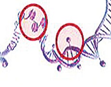 Epigenetics Learning Center Epigenetics Learning Center