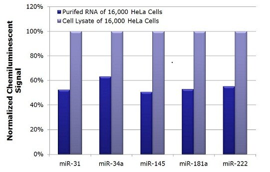 Comparison of miRNA profiles in purified RNA Comparison of miRNA profiles in purified RNA