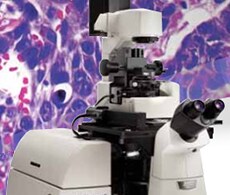 sho-lcm-vs-lmd-230x195 sho-lcm-vs-lmd-230x195