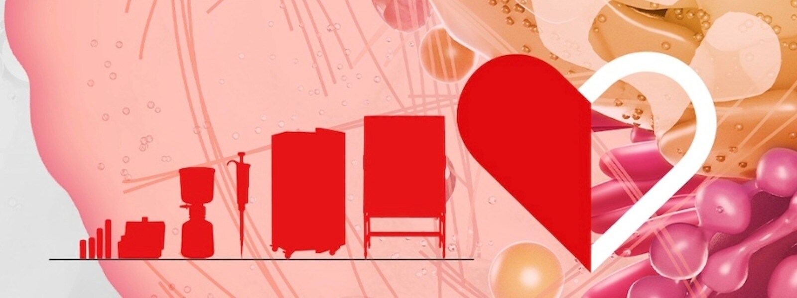 Cell culture Cell culture