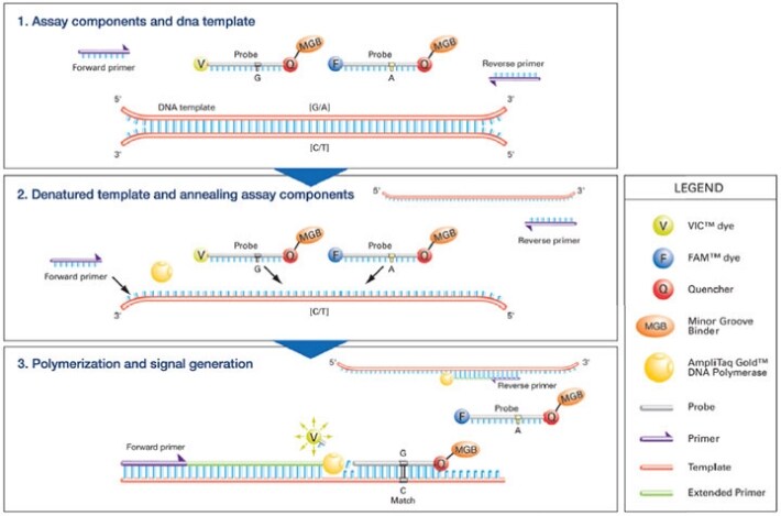 TaqMan-Gene-Expression-Assay-720 TaqMan-Gene-Expression-Assay-720