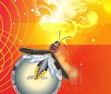 Luciferase-250.jpg Luciferase-250.jpg