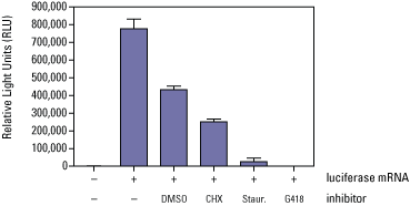 IVT-004-Applications-369px IVT-004-Applications-369px