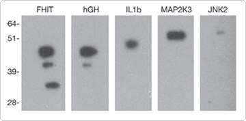 560-wide.par.88719.image.360.177.1 560-wide.par.88719.image.360.177.1