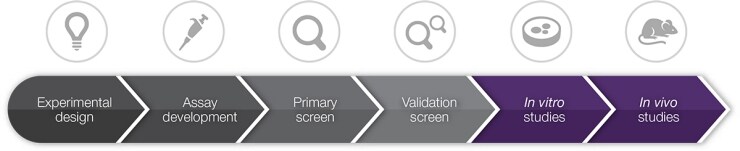 functional genomics screening workflow functional genomics screening workflow
