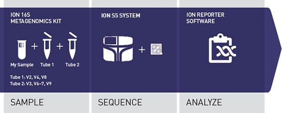 16s-workflow-CO28956-s5-we225126 16s-workflow-CO28956-s5-we225126