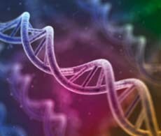 Collibri PCR-free Enzymatically Sheared DNA Library Preparation Collibri PCR-free Enzymatically Sheared DNA Library Preparation