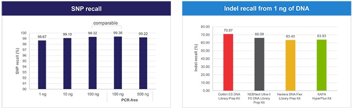 Enzymatically sheared DNA Enzymatically sheared DNA