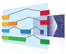 Transcriptome Sequencing by Ion Torrent Next-Generation Sequencing Transcriptome Sequencing by Ion Torrent Next-Generation Sequencing