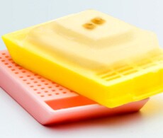 Sanger Sequencing With Ampliseq Primers and Libraries Sanger Sequencing With Ampliseq Primers and Libraries