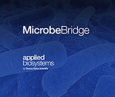 MocrobeBridge MocrobeBridge