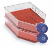 Gibco brand media comprise a broad selection of specialty products optimized for stem cell populations Gibco brand media comprise a broad selection of specialty products optimized for stem cell populations