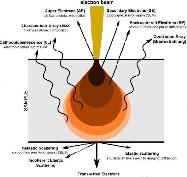 SEM signal diagram, showing the information that can be obtained on an SEM. SEM signal diagram, showing the information that can be obtained on an SEM.