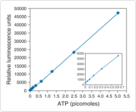 detecting-enzymes.par.75555.image.275.228.1.s001732-atp-determination-kit-gif detecting-enzymes.par.75555.image.275.228.1.s001732-atp-determination-kit-gif